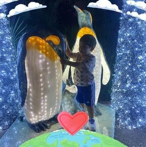 Meet your Posher, Norma